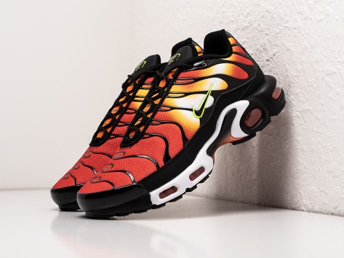 Кроссовки Nike Air Max Plus TN