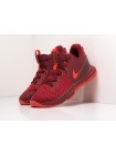 Кроссовки Nike Lebron Witness V