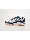 Кроссовки Nike Air Max Plus TN