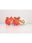 Футбольная обувь Nike Tiempo Legend IX Elite FG