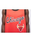 Джерси Nike Chicago Bulls