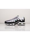 Кроссовки Nike Air Max Plus TN