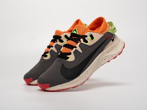 Кроссовки Nike Pegasus Trail 2