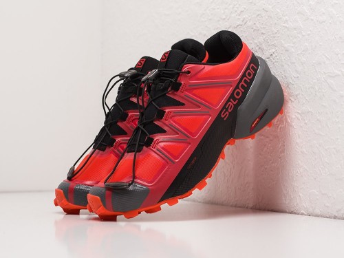 Кроссовки Salomon SPEEDCROSS 5 GTX