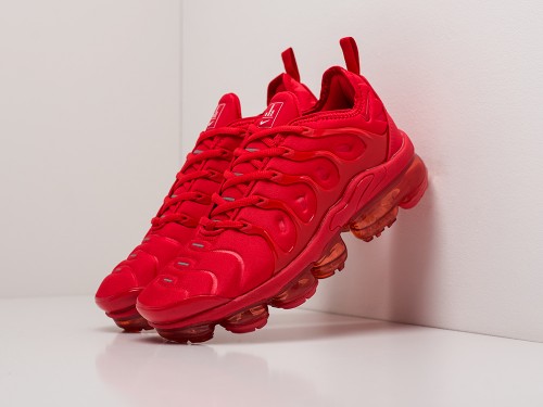 Кроссовки Nike Air VaporMax Plus