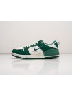 Кроссовки Nike Dunk Low Disrupt 2