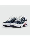 Кроссовки Nike Air Max Plus Tn Blue Grey