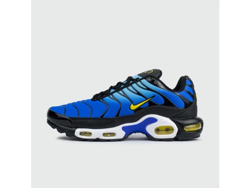 Кроссовки Nike Air Max Plus Tn Blue Yellow