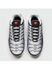 Кроссовки Nike Air Max Plus Tn Grey Black