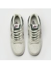 Кроссовки Nike SB Dunk Low Wmns L.Grey / Purple SteamBoy OST