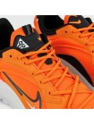 Кроссовки Nike ACG Mountain Fly 2 Low Gtx Orange