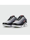 Кроссовки Nike Air Max Plus Tn Grey Black