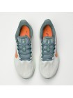 Кроссовки Nike Air Winflo 9 Pure Platinum