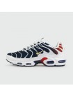 Кроссовки Nike Air Max Plus Tn Blue Grey