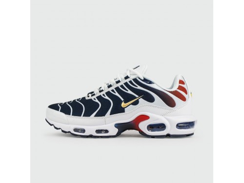 Кроссовки Nike Air Max Plus Tn Blue Grey