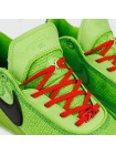 Кроссовки Nike LeBron 20 Green