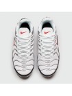 Кроссовки Nike Air Max Plus Tn White Grey new