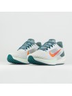 Кроссовки Nike Air Winflo 9 Pure Platinum