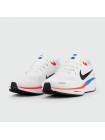 Кроссовки Nike Pegasus 41 White Blue Red