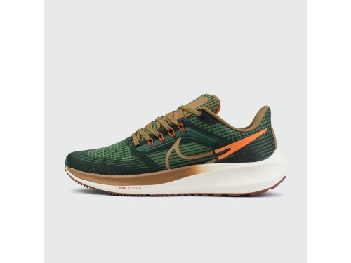 Кроссовки Nike Air Zoom Pegasus 39 Green Brown