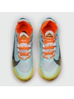 Кроссовки Nike Pegasus Trail 2 Sky Blue Grey