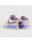 Кроссовки Nike LeBron 20 Violet Frost