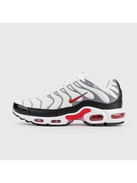 Кроссовки Nike Air Max Plus Tn White Grey new