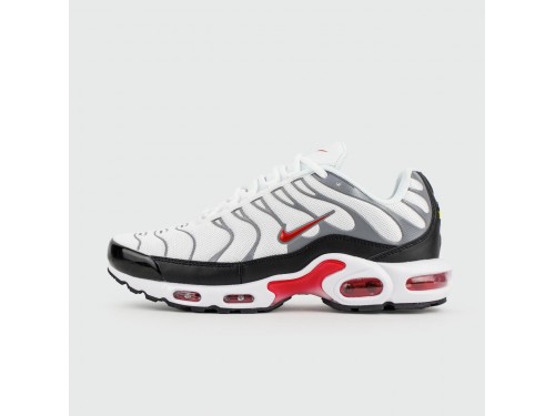 Кроссовки Nike Air Max Plus Tn White Grey new