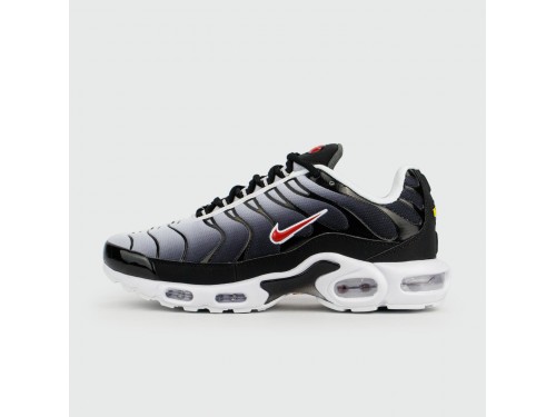 Кроссовки Nike Air Max Plus Tn Grey Black