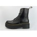 Ботинки Dr. Martens Molly Wmns Lock Black - арт. f-19496