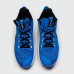 Кроссовки Nike LeBron Witness 5 Game Royal