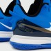 Кроссовки Nike LeBron Witness 5 Game Royal