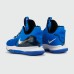 Кроссовки Nike LeBron Witness 5 Game Royal