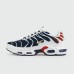 Кроссовки Nike Air Max Plus Tn Blue Grey