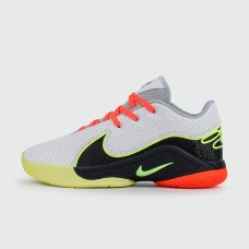 Кроссовки Nike Lebron 22 Crown Jewel