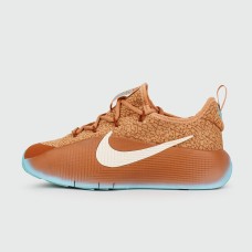 Кроссовки Nike LeBron TR 1 Better With Age