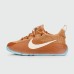 Кроссовки Nike LeBron TR 1 Better With Age - арт. f-26298