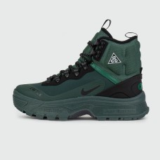 Ботинки Nike ACG Zoom Gaiadome GTX Green