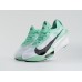 Кроссовки Nike Air Zoom Alphafly Next% 3